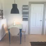 A Big Holidayhouse Romo-rim-ribe