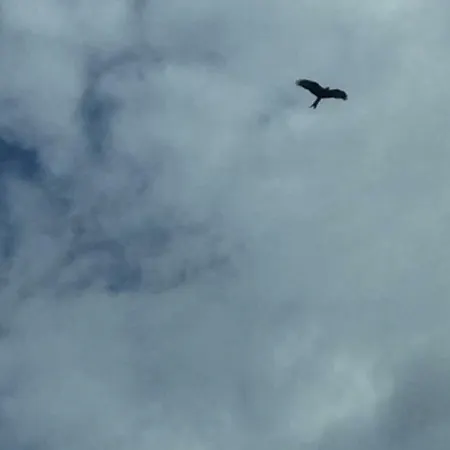 A Big Holidayhouse Romo-rim-ribe