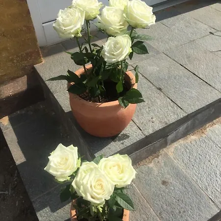 A Big Holidayhouse Romo-rim-ribe *