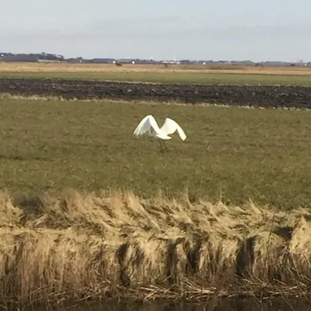 A Big Holidayhouse Romo-rim-ribe