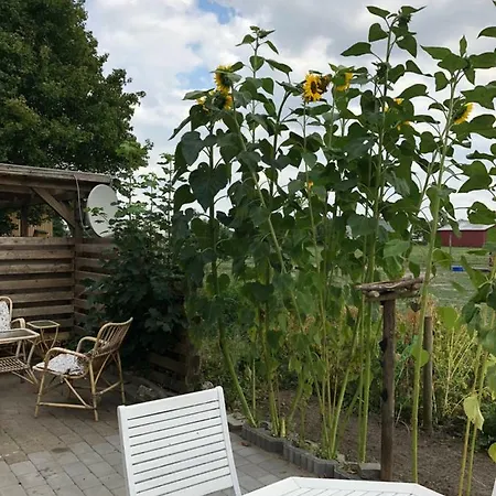 A Big Holidayhouse Romo-rim-ribe